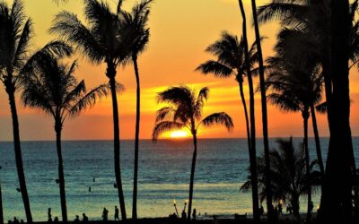 Top 10 Tips for Enjoying Your Holidays on a Maui Vacation