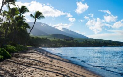 Top Tips For Planning Your Hawaii Trip to Maui