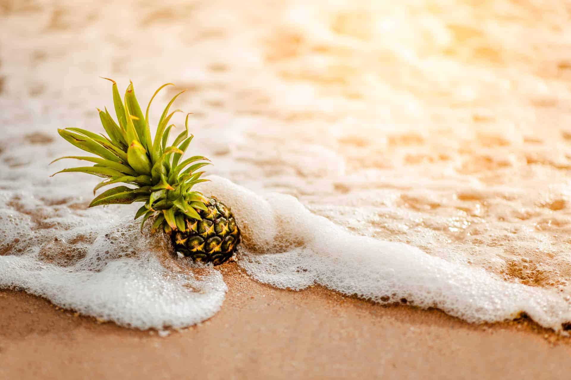 Lanai - Fresh Pineapple on the Beach