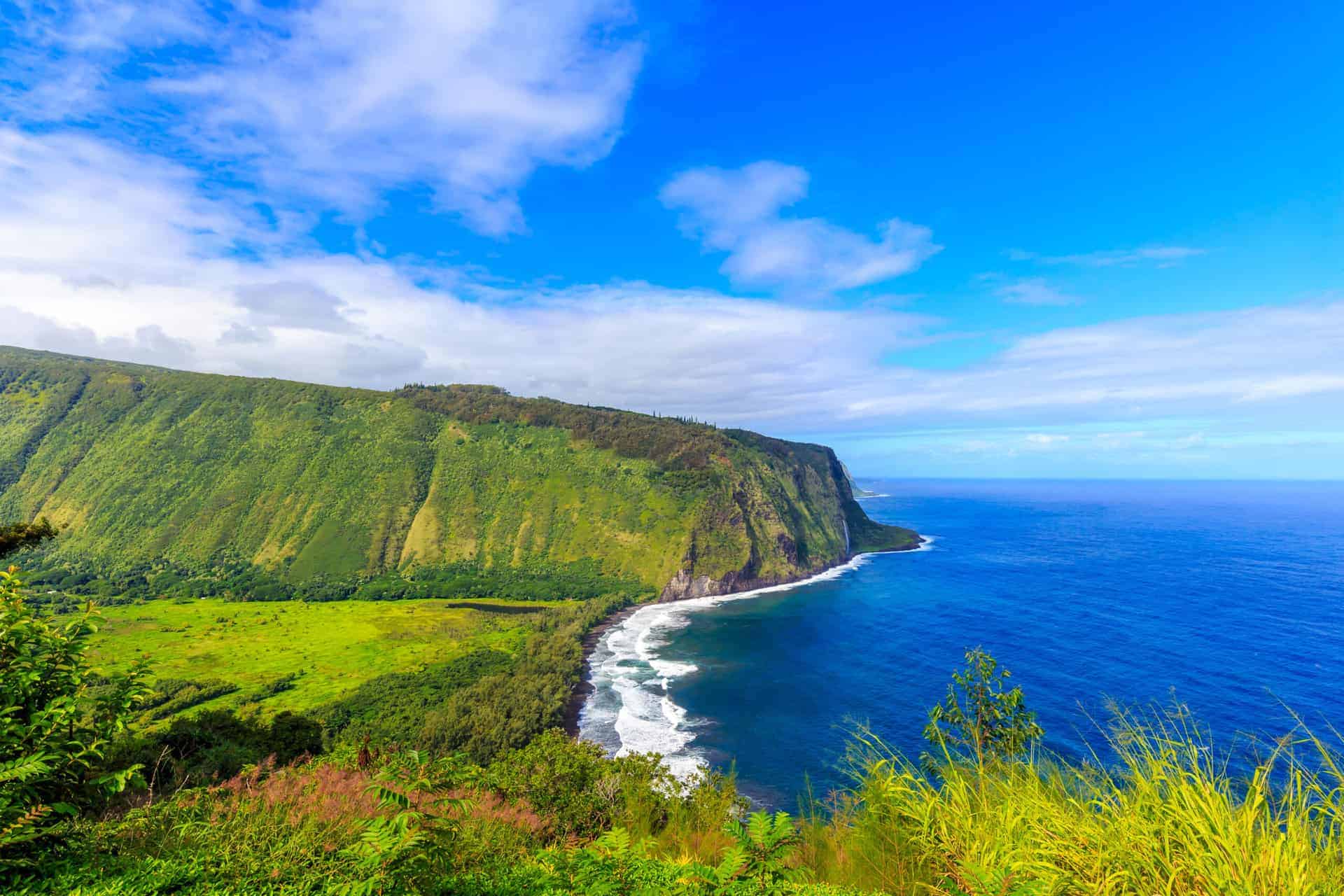 Mountain and Ocean View in Big Island