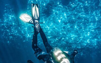 Exploring the Magical Underwater World with Maui Scuba Diving