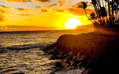 Enjoy the Island Life in a Luxury Maui Vacation Rental