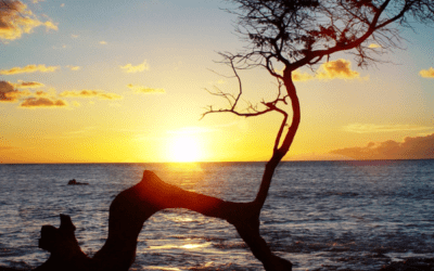 Top 10 Tips for Maui Travel