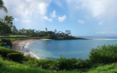 Best Maui Beaches for Residents