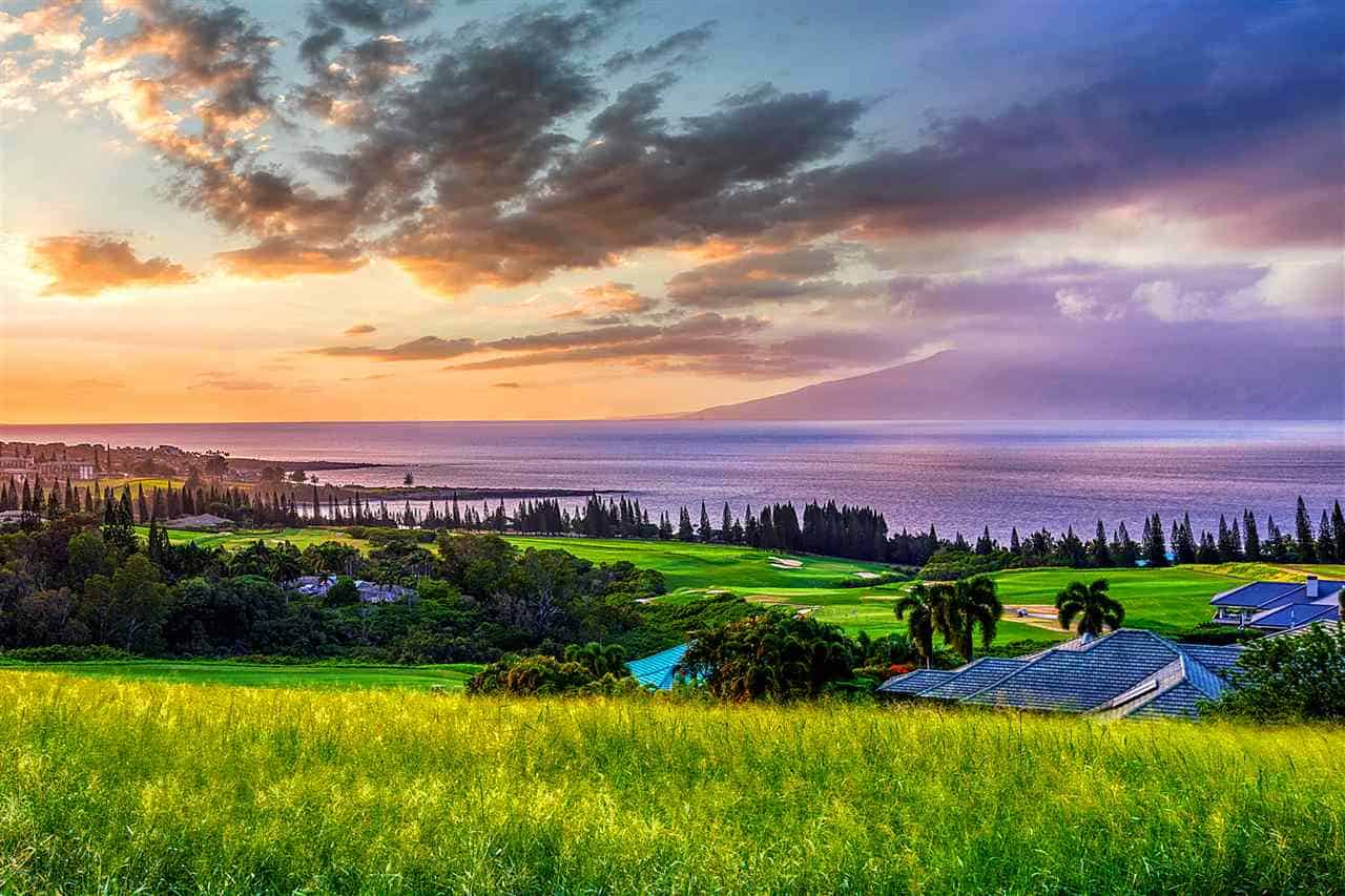 Living on Maui - Beautiful Sunset with Grass Up Close