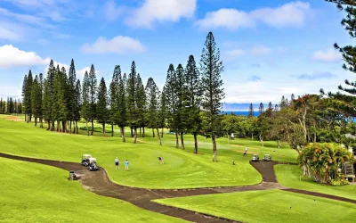 Tips for Buying Luxury Real Estate in Kapalua