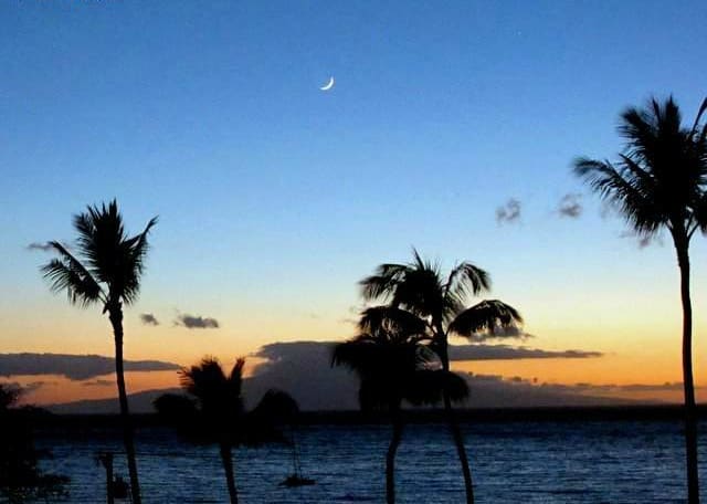 Live in Maui - Sunset View with Coconut Trees