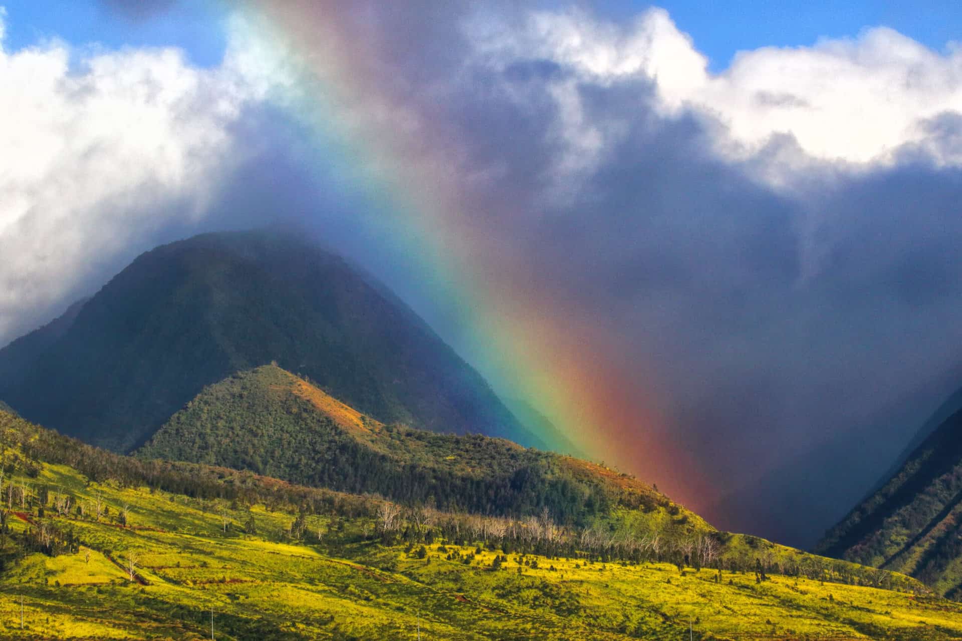 Weather in Hawaii