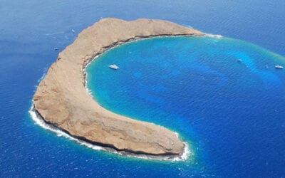 Molokini Crater: One of the Best Snorkel Spots in Hawaii