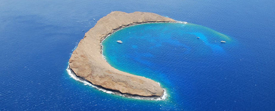 Molokini Crater: One of the Best Snorkel Spots in Hawaii