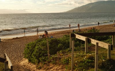 The Benefits of Living in Maui: Why It’s Such a Unique Place