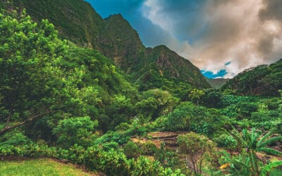 Top Things to Do in Central Maui: Must-See Attractions on Your Vacation