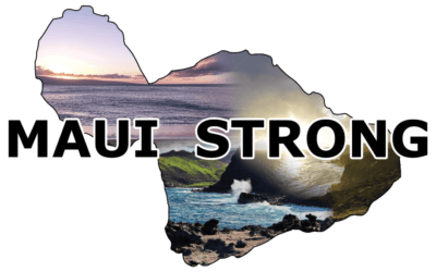 August 2023 Hawaii Fires – Maui Hit the Hardest with Loss of Lahaina