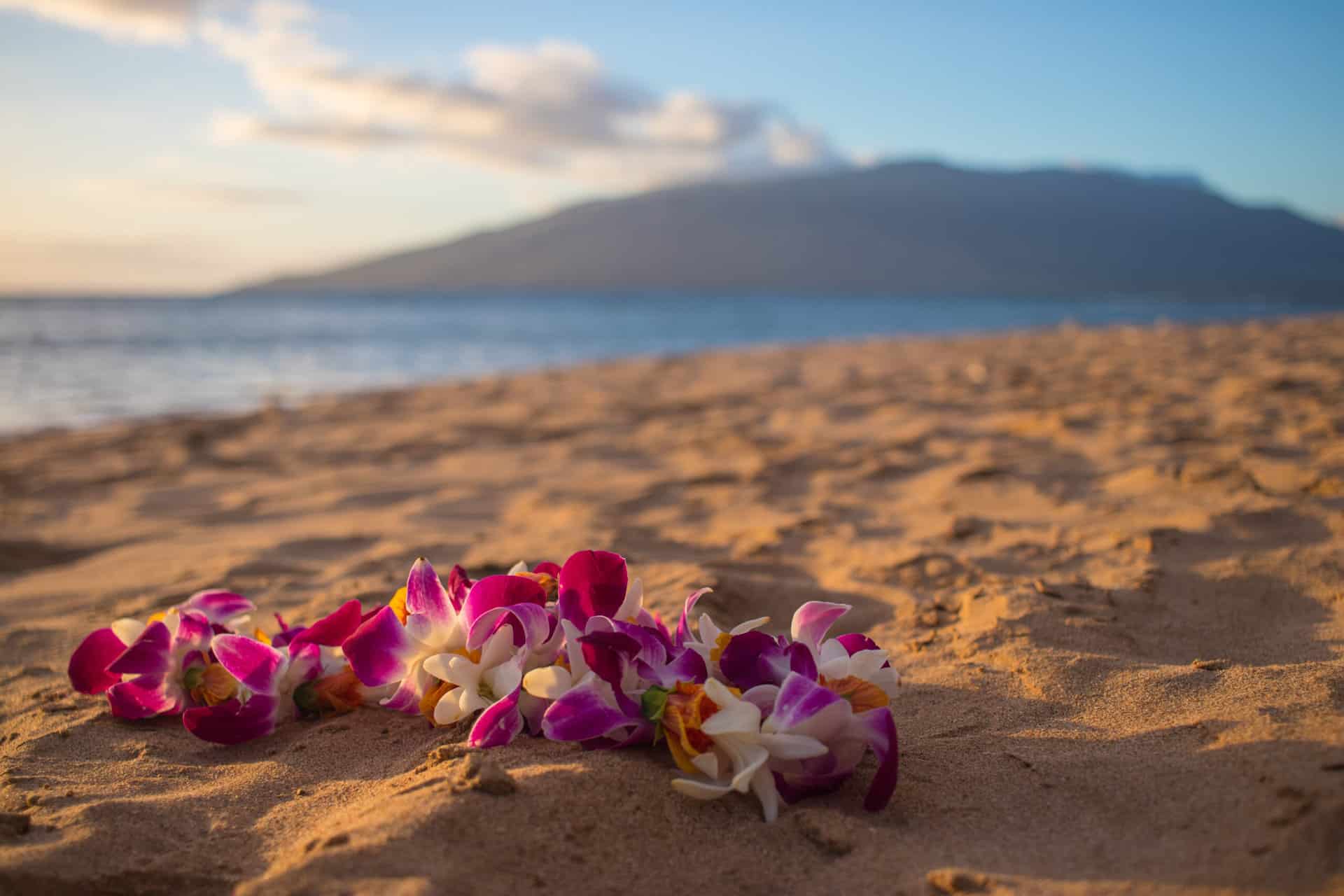 Authentic Things to Do in Maui: Experience the Real Hawaii