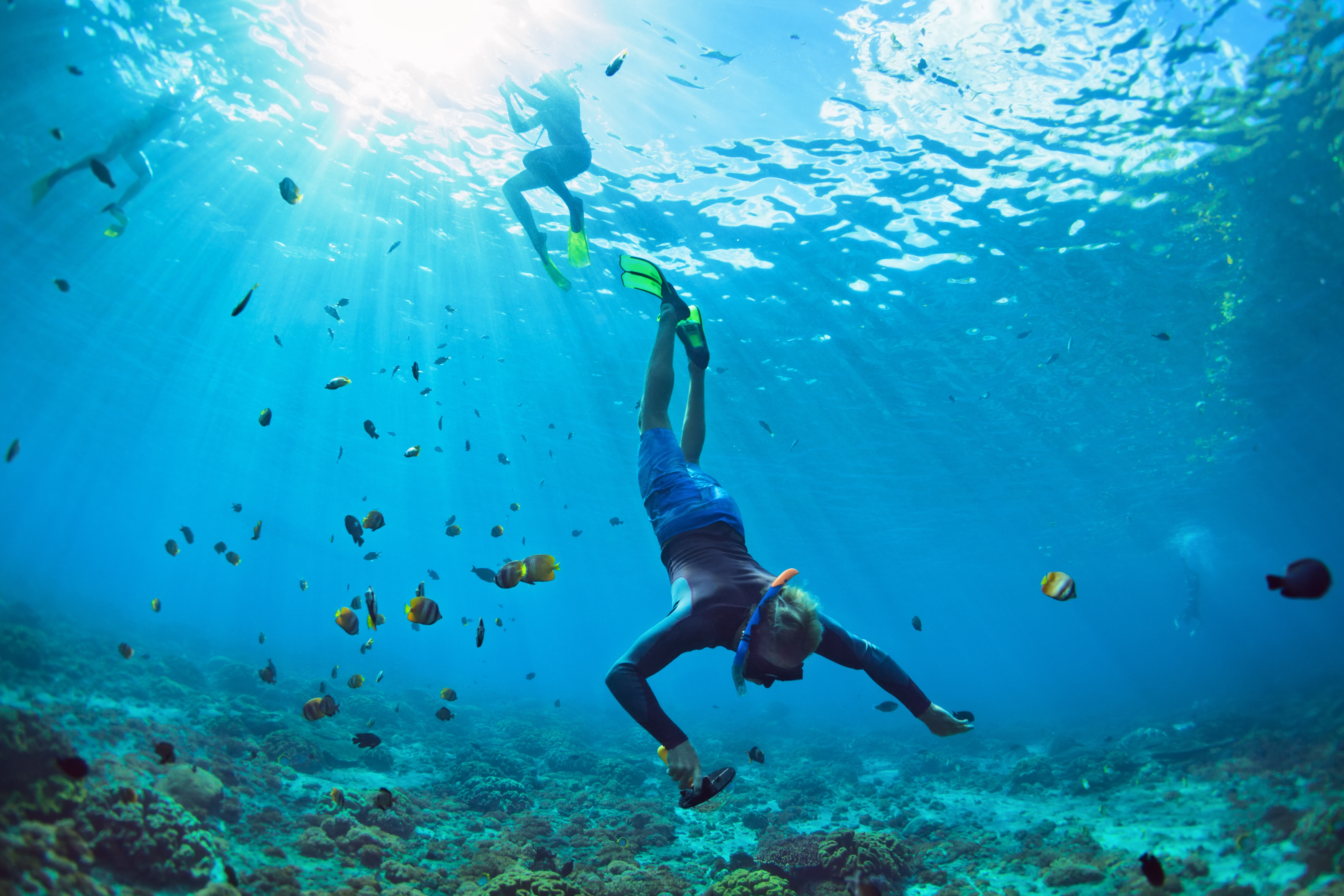 Big Island Snorkeling Tips: Things You Need to Know