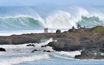 Maui’s Magical North Shore & Paia Town