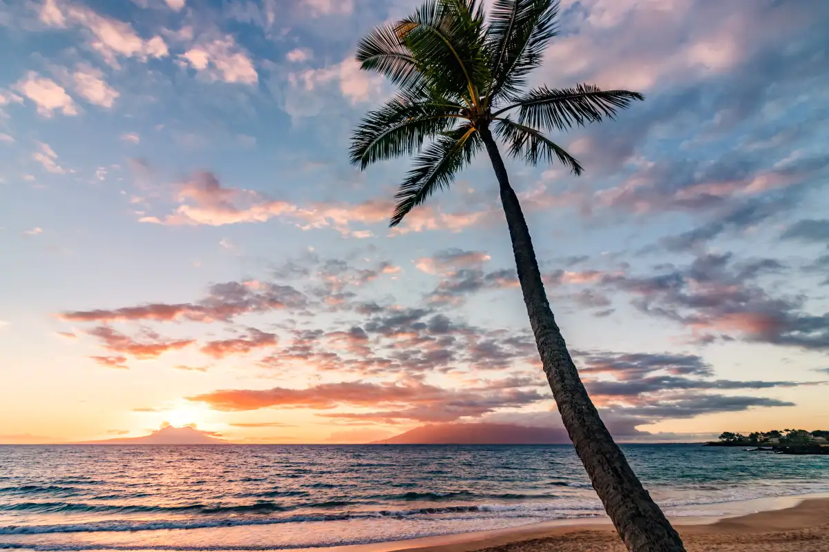 Retiring to Paradise: A Guide to Budgeting, Healthcare & Community on Maui